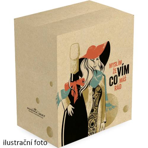 Expediční karton Vím